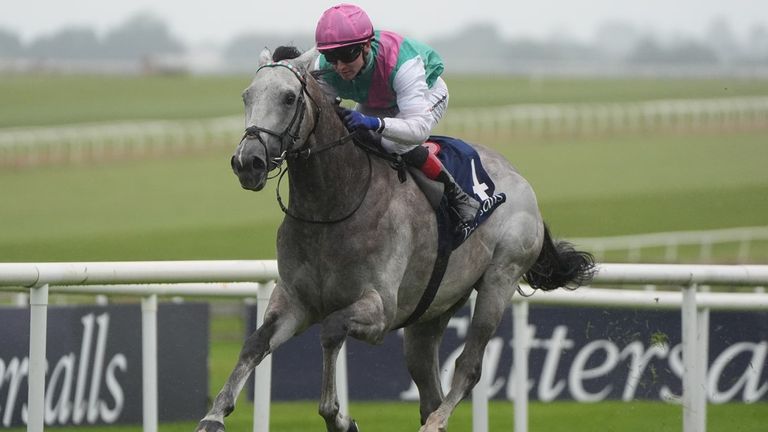 Irish 2,000 Guineas winner Field Of Gold heads the market for the St James's Palace Stakes.