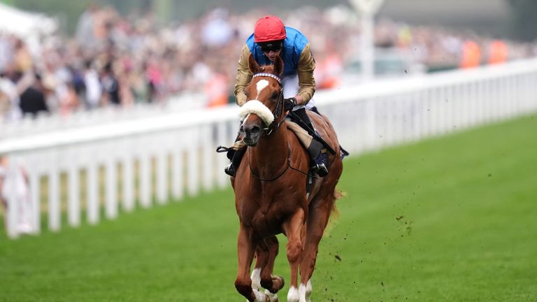 Humidity proves too good in the Chesham at Royal Ascot