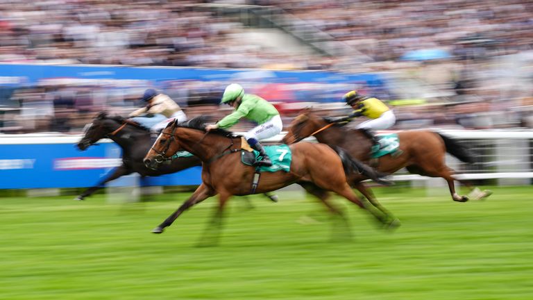 Jm Jungle comes home best to land the Epsom "Dash"