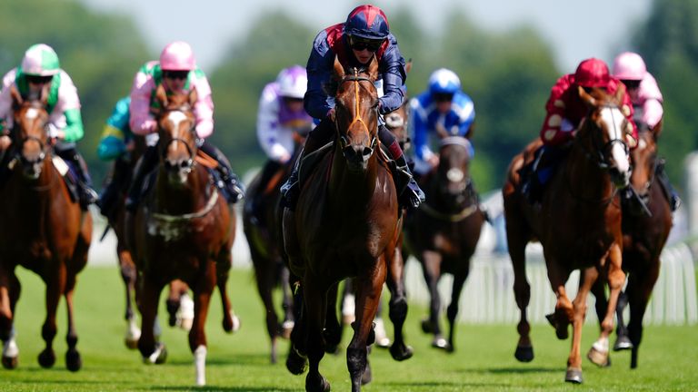 Linwood (centre) is all set for Royal Ascot.