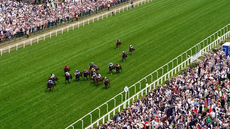 Venetian Sun led them home in the Albany Stakes