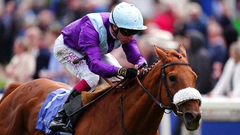 See The Fire has been supplemented for the Prince Of Wales's Stakes