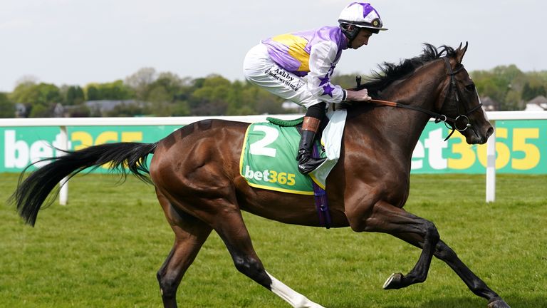 Hugh Taylor likes Seraph Gabriel at Royal Ascot today