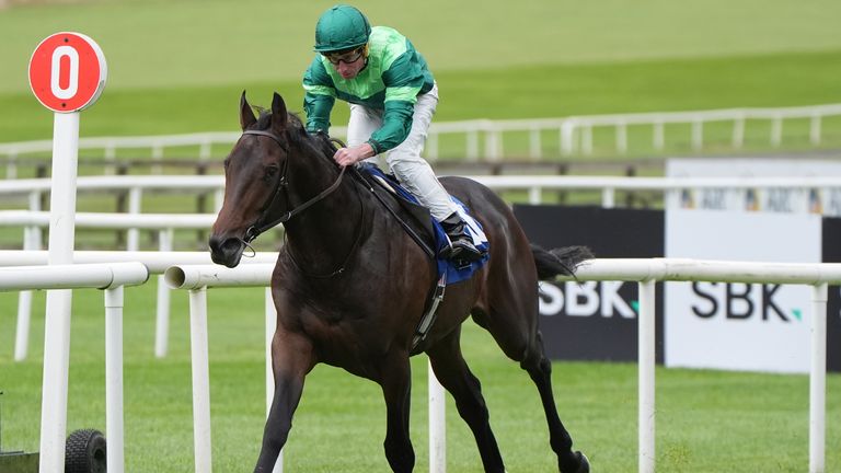Aidan O'Brien Saddles Shackleton this afternoon.