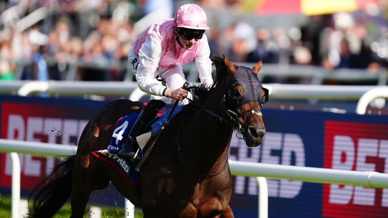 Sweet William is a set for a return to action at Royal Ascot