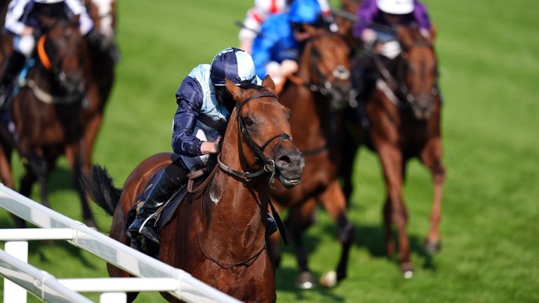 Hemptonas tiesā nav garāmbrauciena Ryan Moore un Trīsvienības koledžas