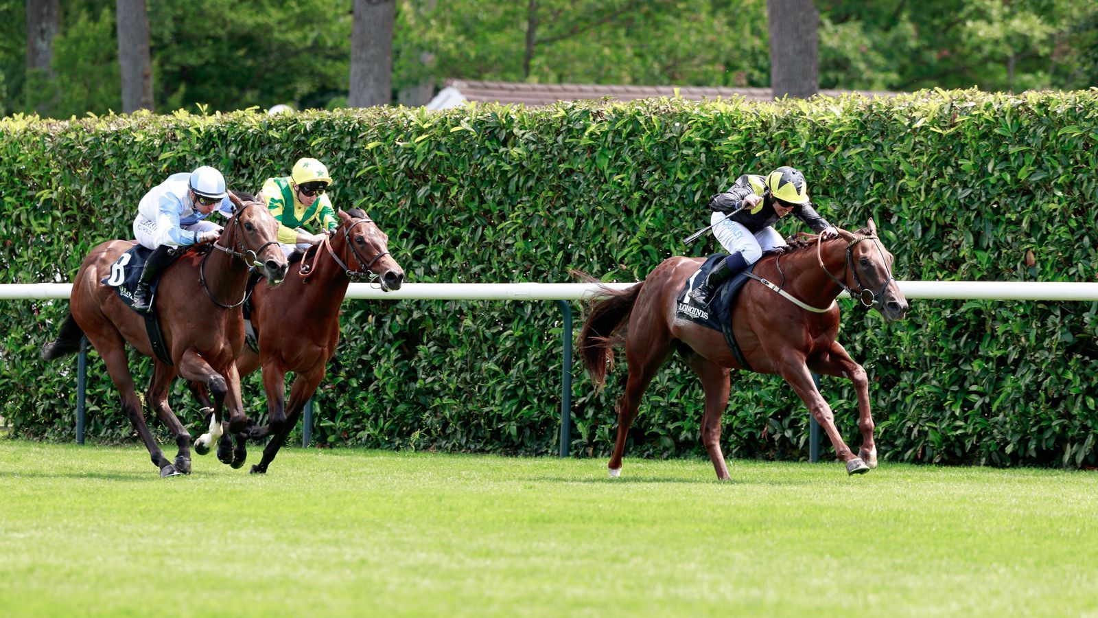 Green Sense and Tadej face-off in Prix Robert Papin