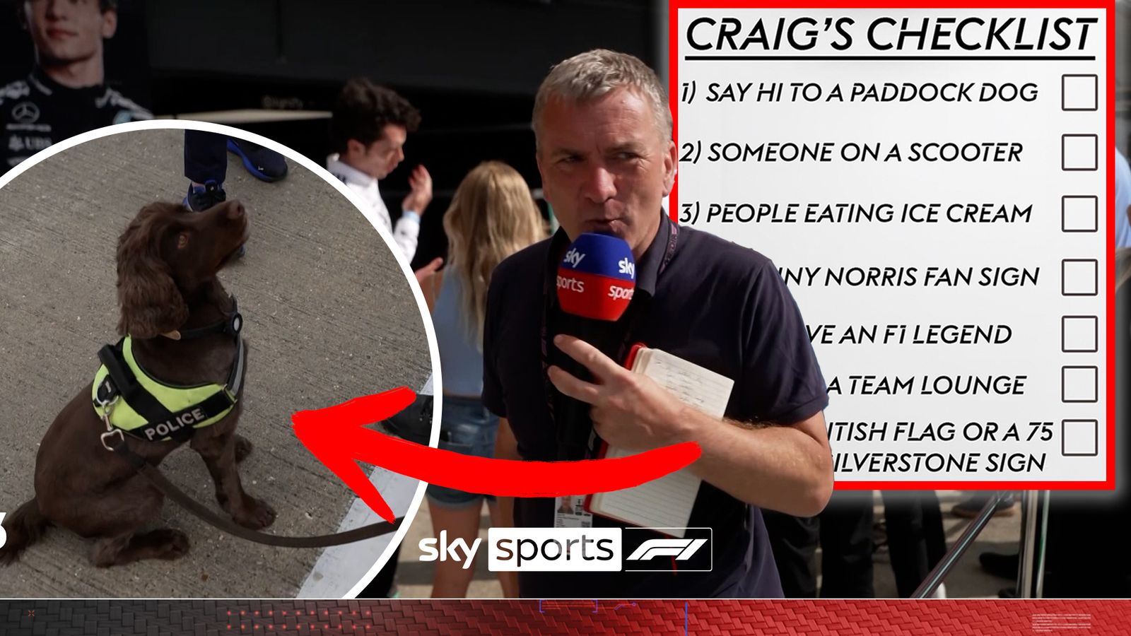 https://e0.365dm.com/25/07/1600x900/skysports-formula-1-british-gp_6957709.jpg?20250705112534