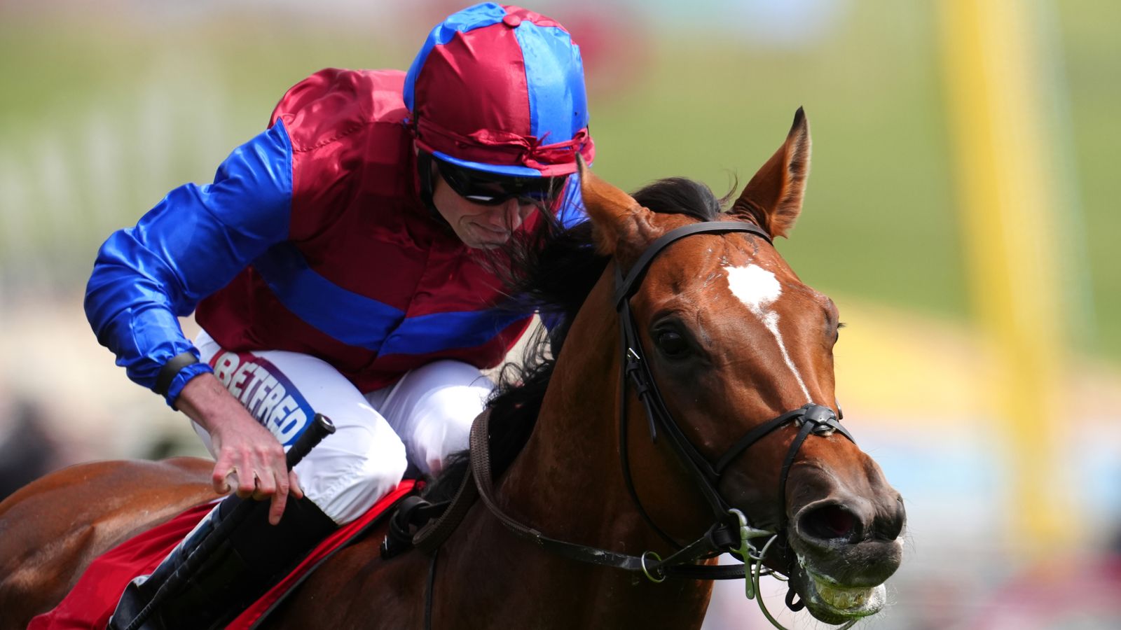 Racing round-up: Jan Brueghel and Calandagan set for big King George VI ...