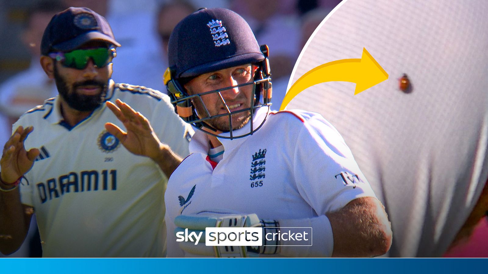 https://e0.365dm.com/25/07/1600x900/skysports-lady-birds-crickwet_6962121.jpg?20250710183656