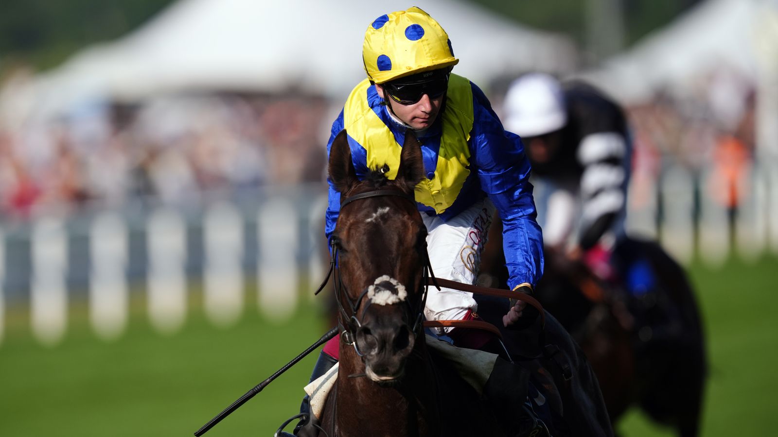 Never So Brave pounces to Summer Mile success