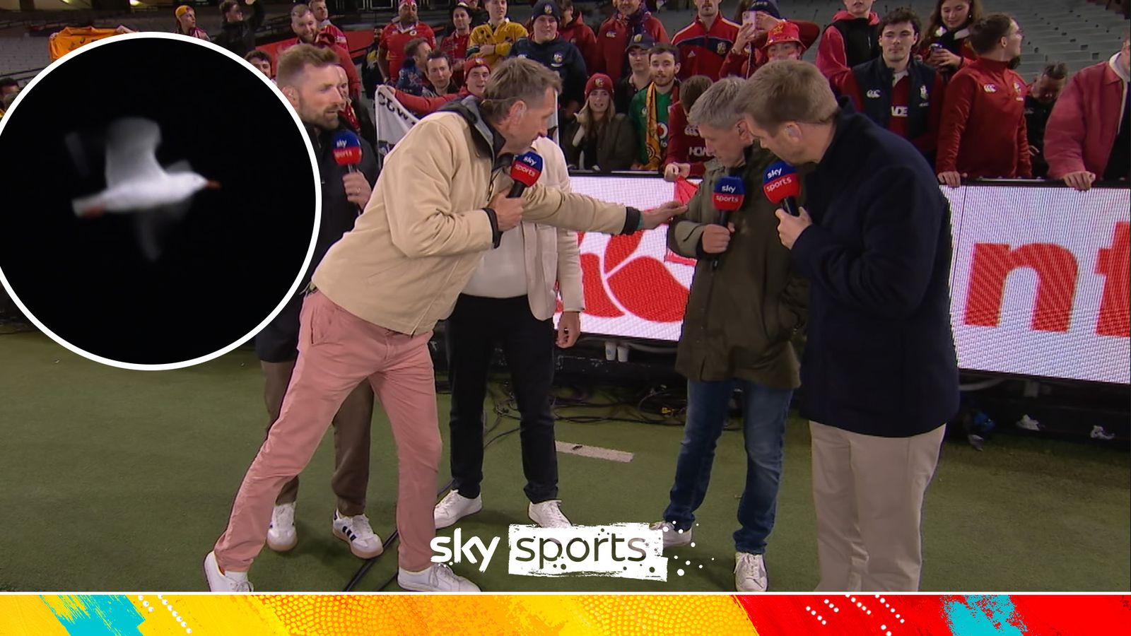 Australia vs British and Irish Lions 2nd Test: Hilarious moment as a ...