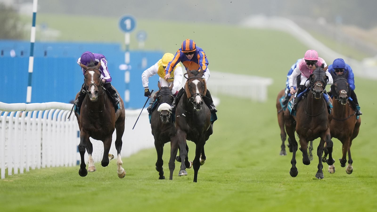 Scandinavia's Goodwood Cup success marred by fatal injury to Trueshan