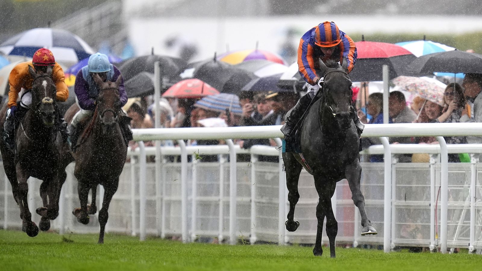 Whirl underlines Arc credentials with dominant Nassau victory