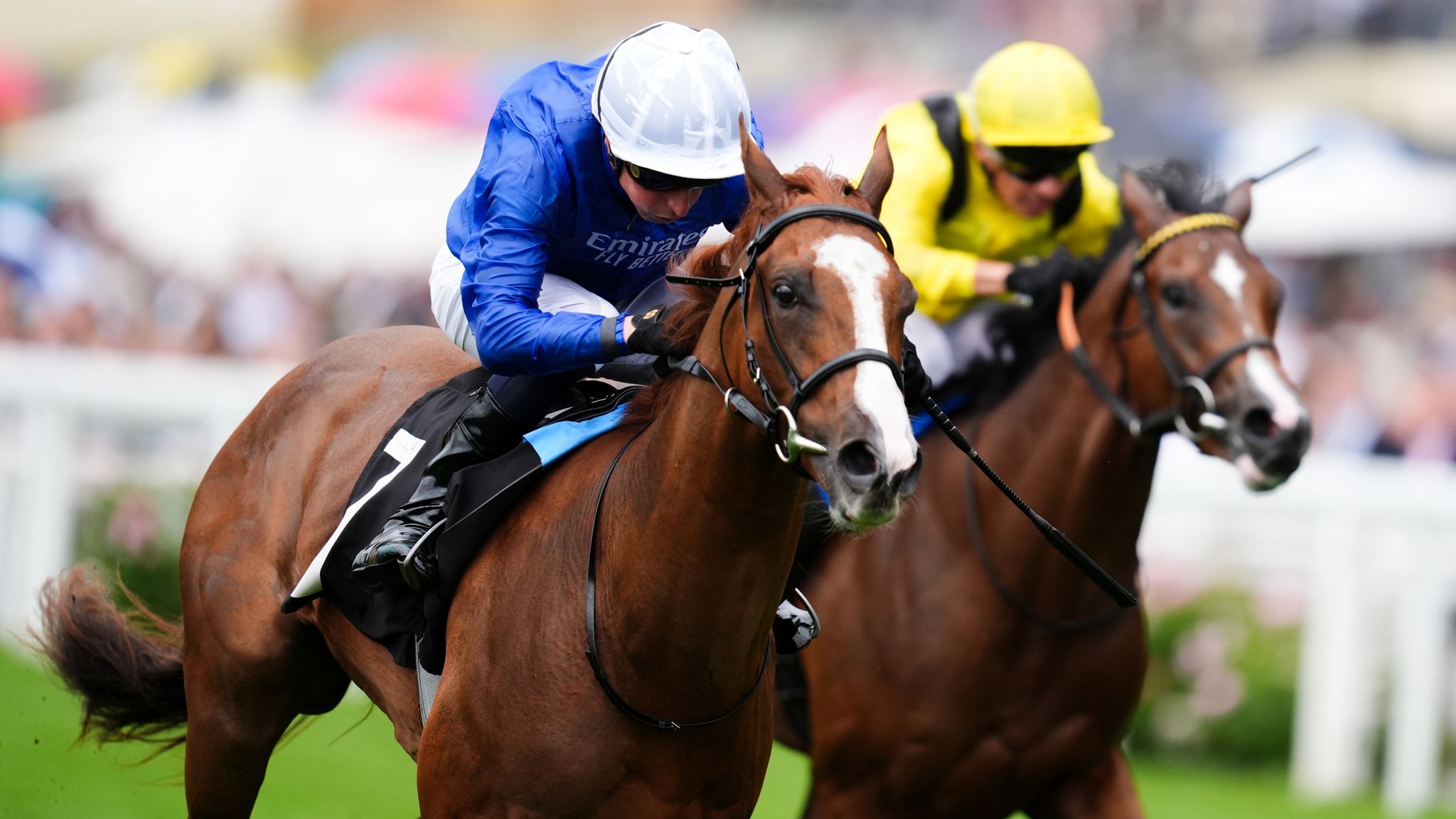 King George VI and Queen Elizabeth Stakes: Calandagan rules for France ...