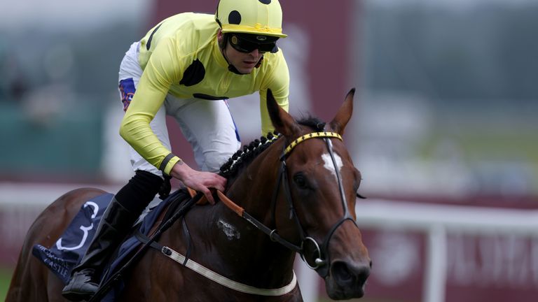 Elite Status is Kate Tracey's selection