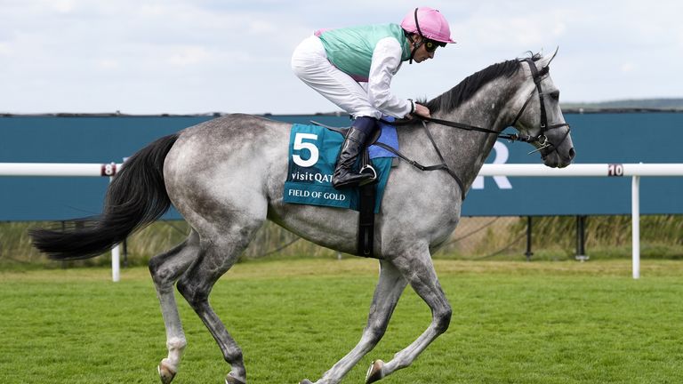 Field Of Gold ran a disappointing race in the Sussex Stakes at Goodwood.