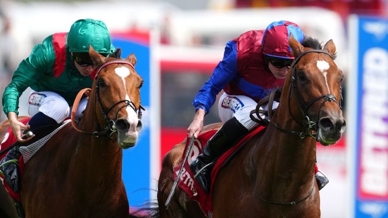 Let battle commence! Jan Brueghel and Calandagan face off again, this time at Ascot.