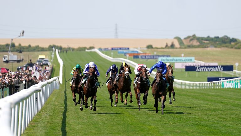 King's Charter, Godolphin Mavisi'nin en iyisiydi