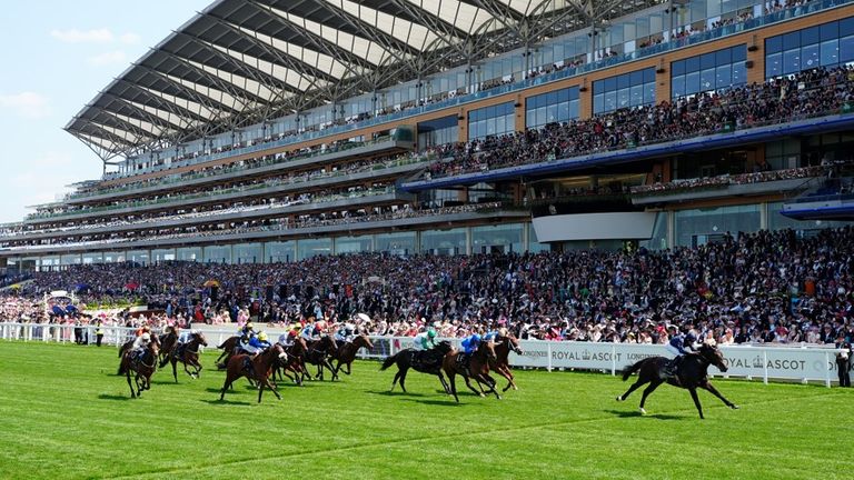 Wise Approach chased home Charles Darwin in the Norfolk Stakes