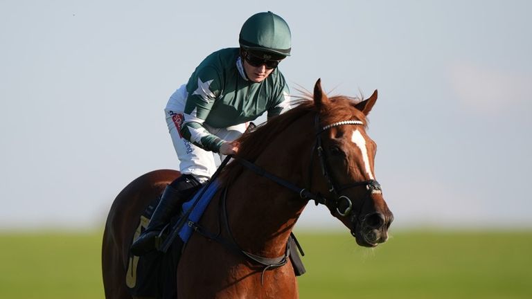 Hollie Doyle is set to ride Nebras on Thursday