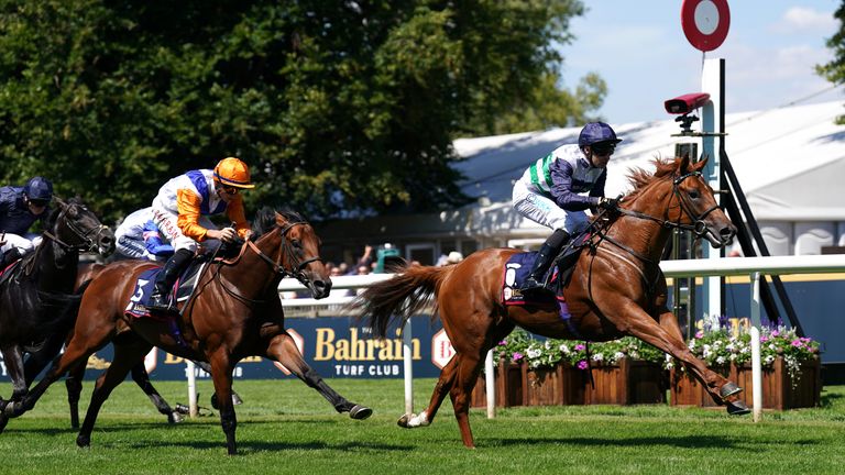Zavateri finished much the best at Newmarket