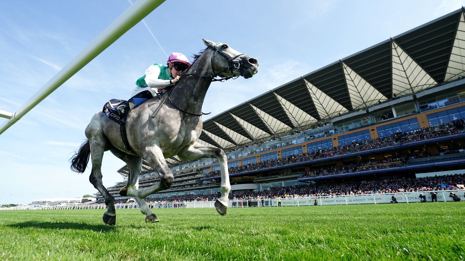 Field Of Gold to miss International assignment at York