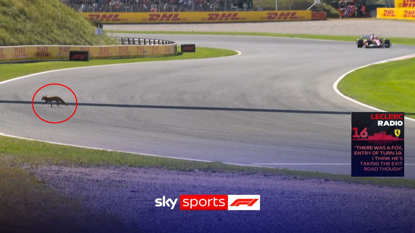 https://e0.365dm.com/25/08/1600x900/skysports-motorsport-f1-ferrari_7005705.jpg?20250830144204