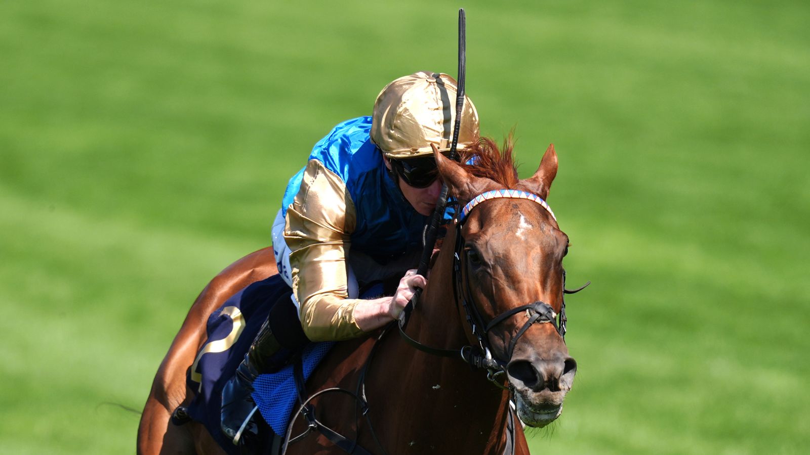 Crimson Advocate and January clash in Prix Rothschild