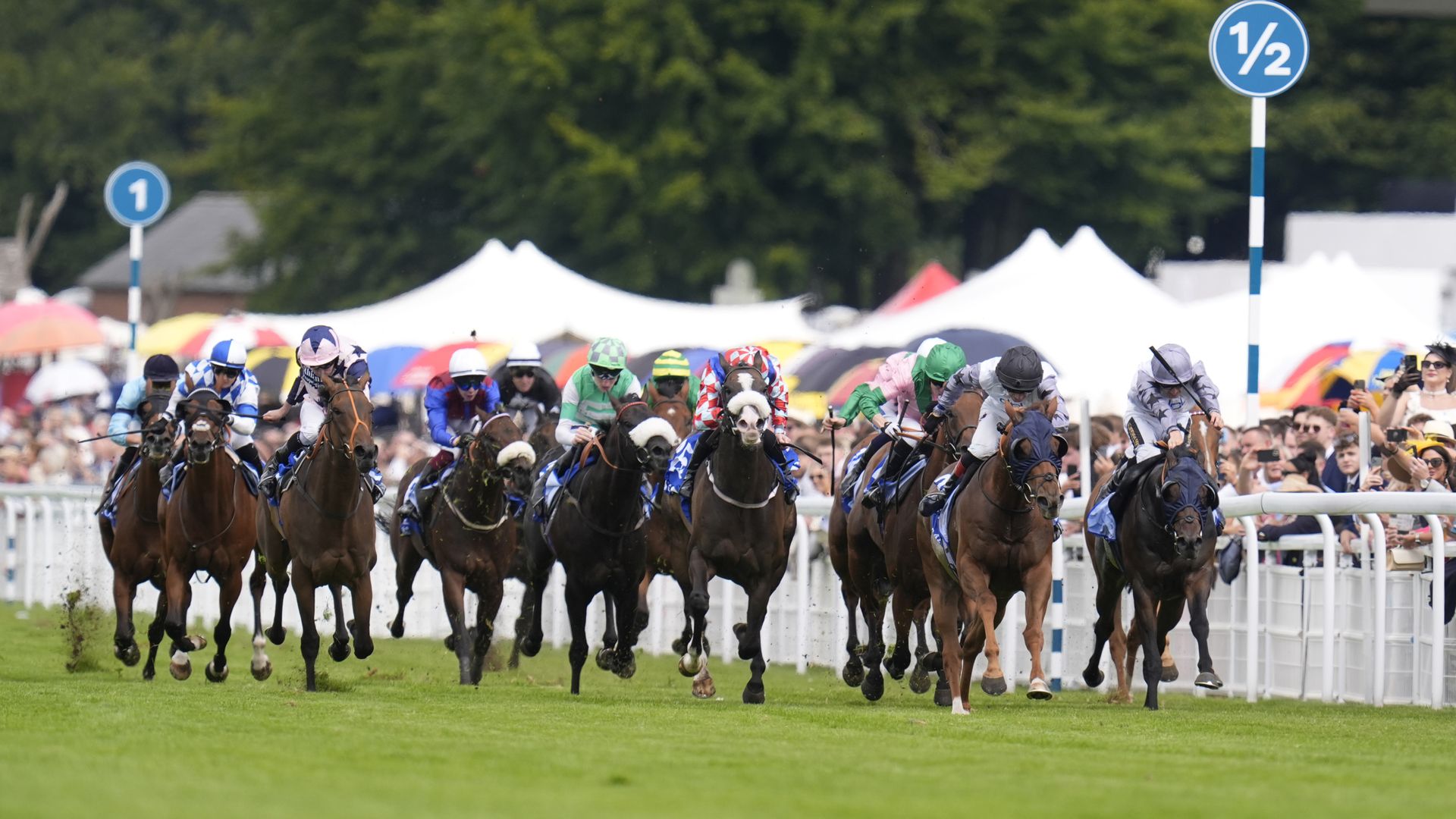 Two Tribes secures big-race double in Stewards' Cup