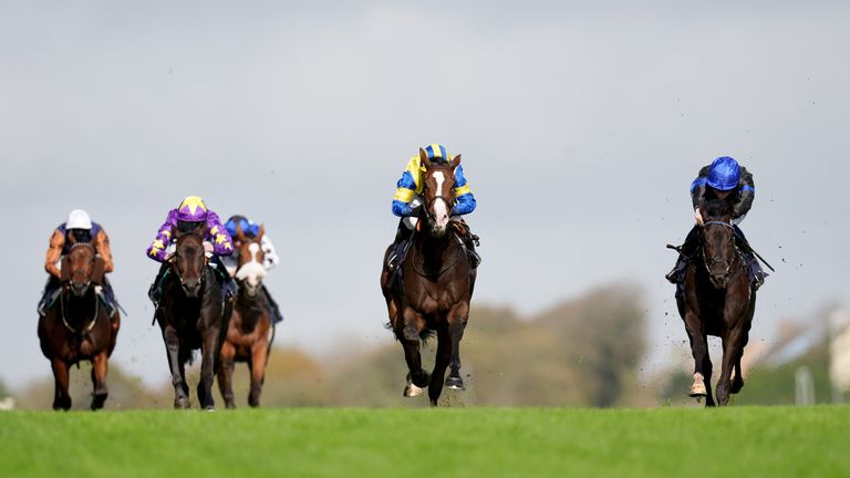 Brighton hosts today's domestic racing