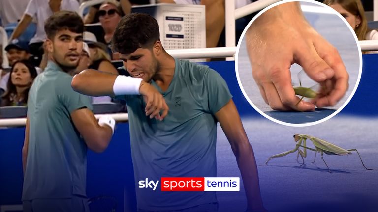 Carlos Alcaraz was made to wait as he was getting to serve for match-point against Luca Nardi at the Cincinnati Open as a Praying Mantis on the court halted play. 