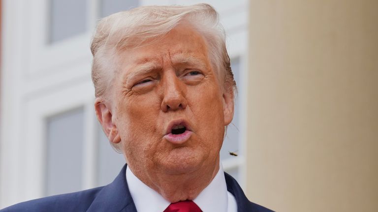 An insect hovers near President Donald Trump as he speaks with the media during an official greeting with Britain's Prime Minister Keir Starmer and his wife Victoria at the Trump Turnberry golf course in Turnberry, Scotland Monday, July 28, 2025. (AP Photo/Jacquelyn Martin)