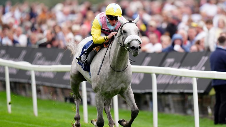 P J McDonald steered Gewan to success at York