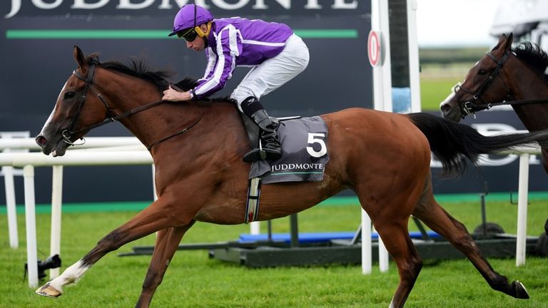 मिन्नी हॉक