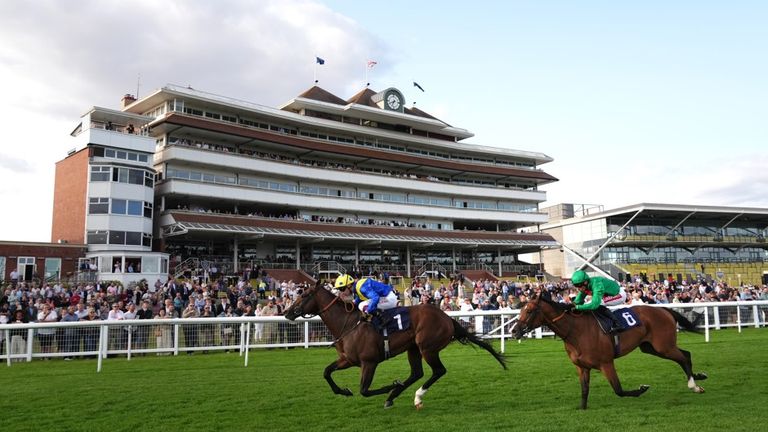 Newbury is the venue for today's live racing