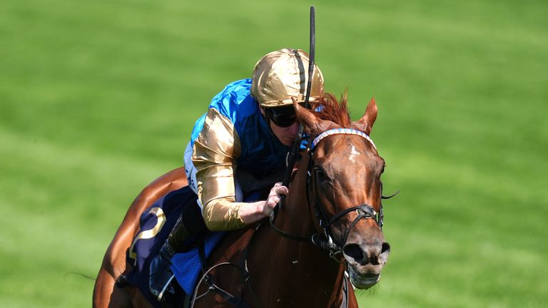 Crimson Advocate returns to action today