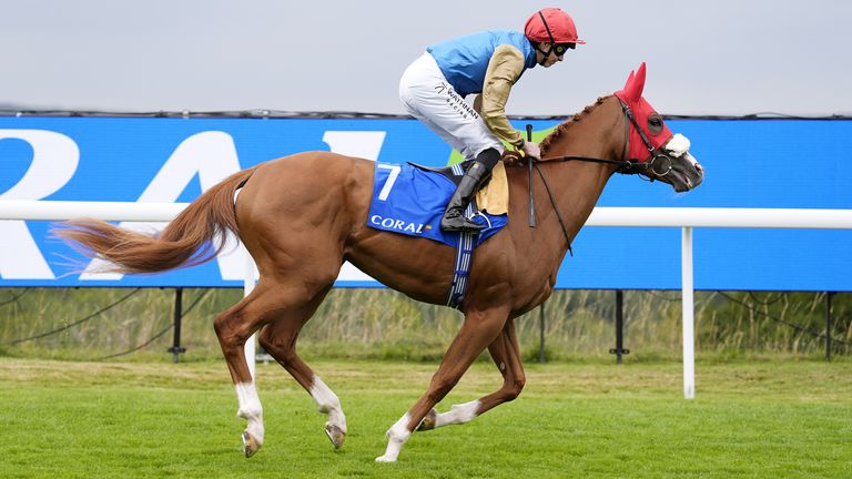 Humidity is set to go to post at Sandown
