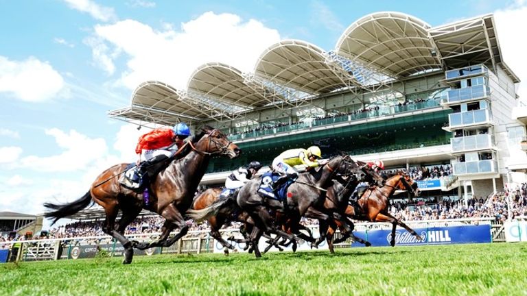 Seven Questions (left) has been backed to spring a surprise in the Stewards' Cup