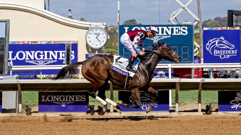 Thorpedo Anna, ridden by jockey Brian Hernandez, Jr., dominates at the Longines Breeders' Cup Distaff