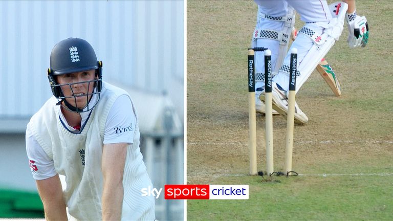 Cricket 