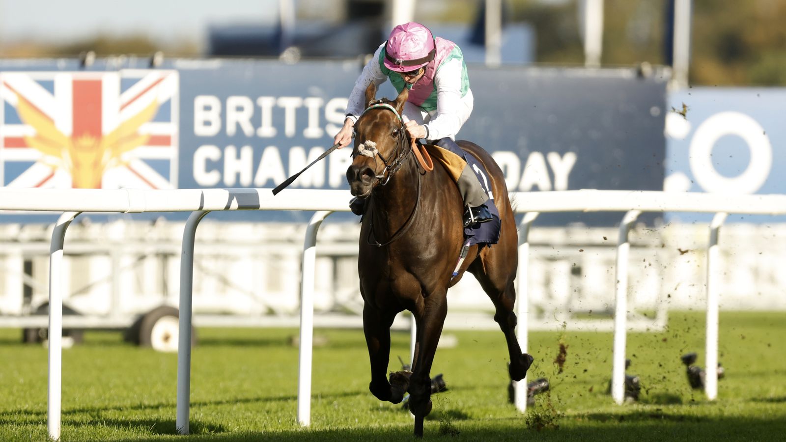 Kalpana: Andrew Balding's star filly still on track for Prix de l'Arc de Triomphe despite Kempton defeat
