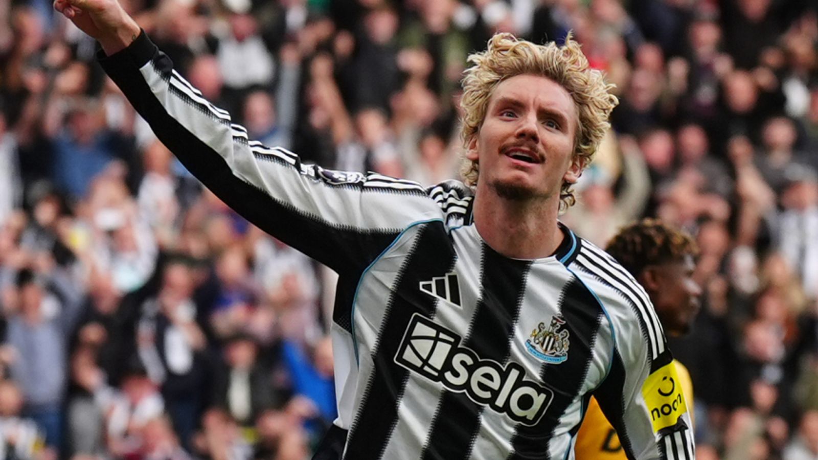 Newcastle 1-0 Wolves: Nick Woltemade's debut goal hands Magpies first  Premier League win of season | Football News | Sky Sports