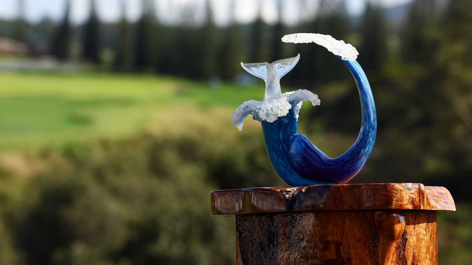 PGA Tour: 2026 season-opening The Sentry tournament forced to move due to Maui drought