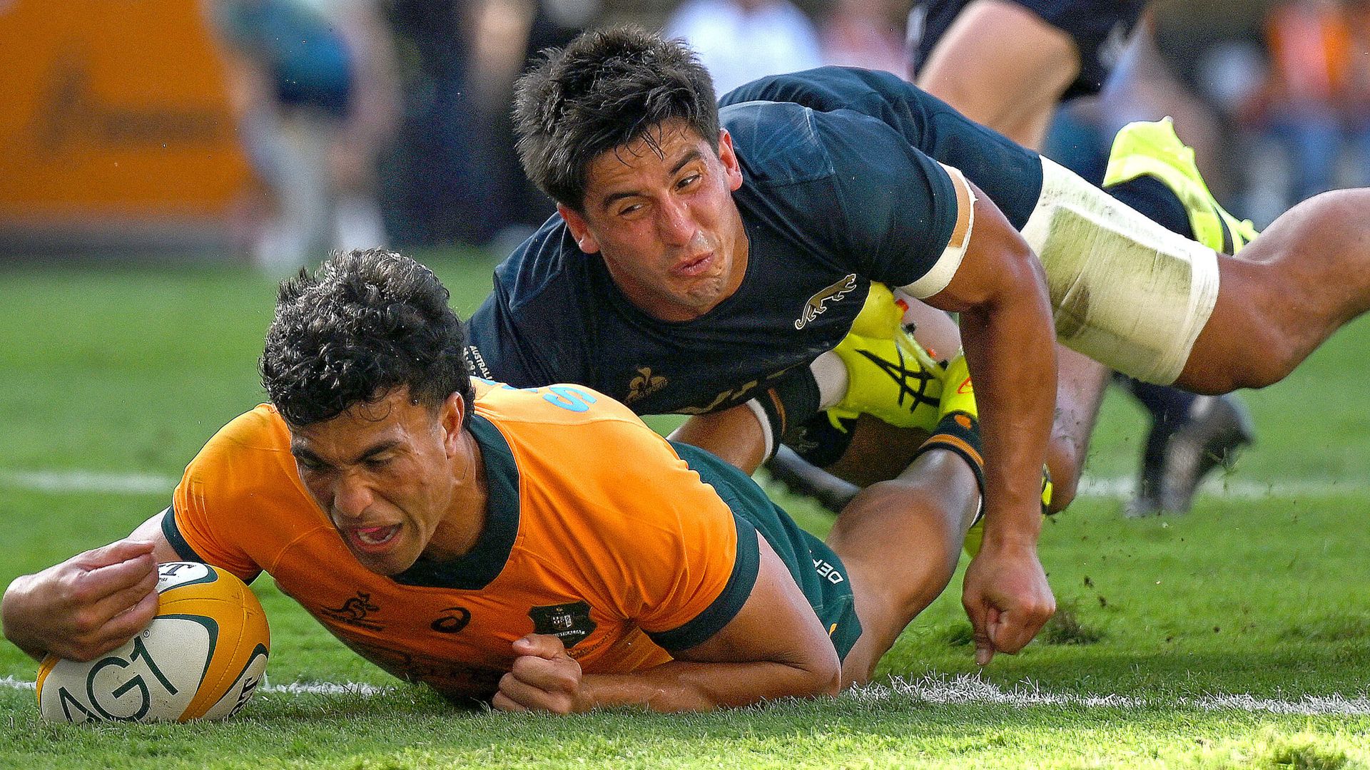 Redemption for Australia against Argentina as All Blacks hold off Springboks