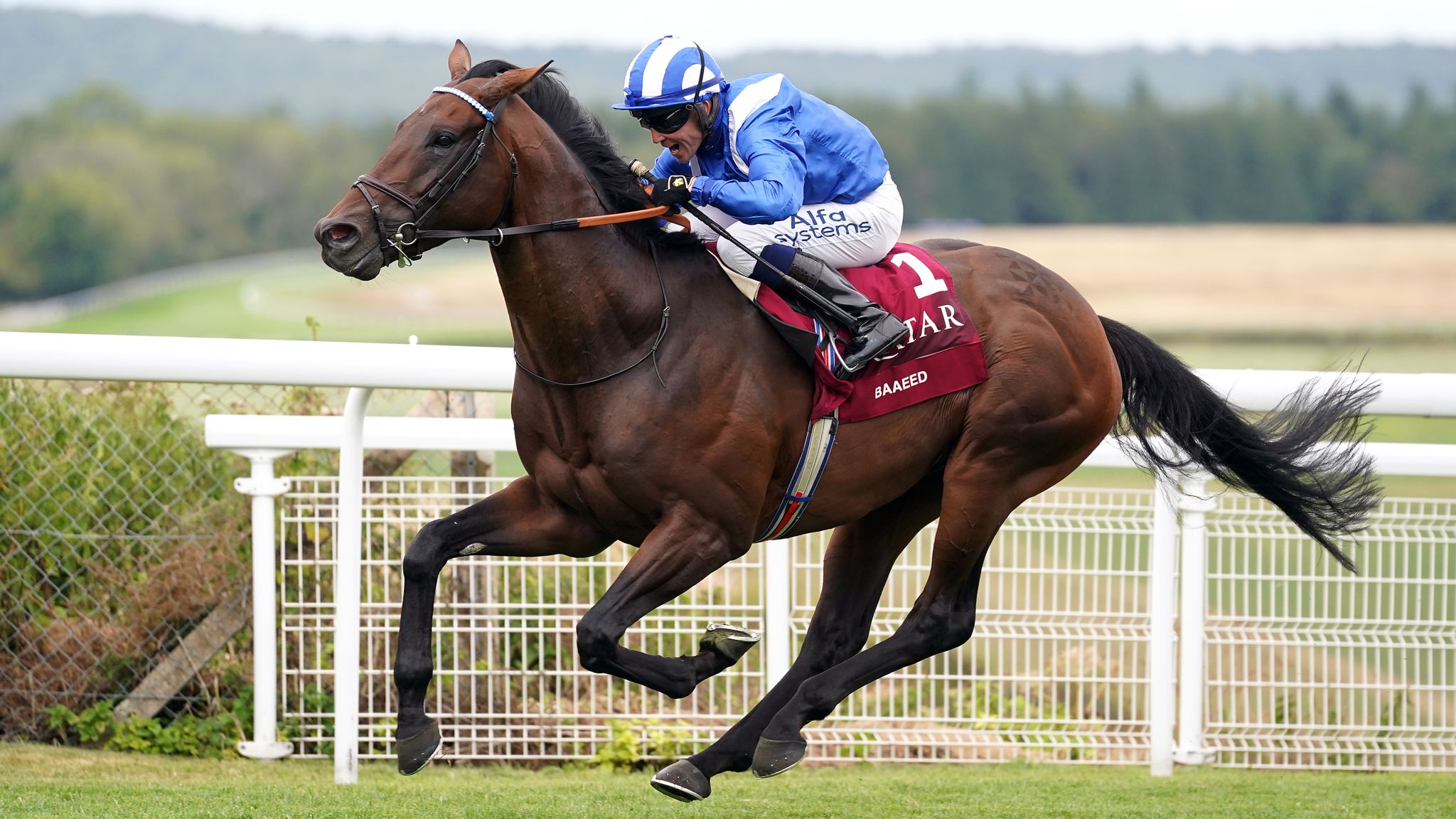 Today on Sky Sports Racing: Baaeed's full brother makes debut at Ascot ...