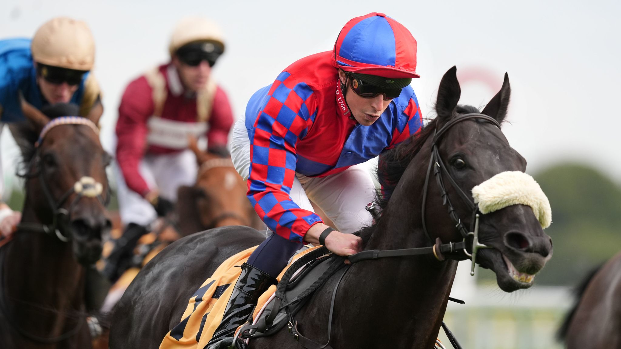 Sprint Cup: Big Mojo soars to Haydock success for William Buick