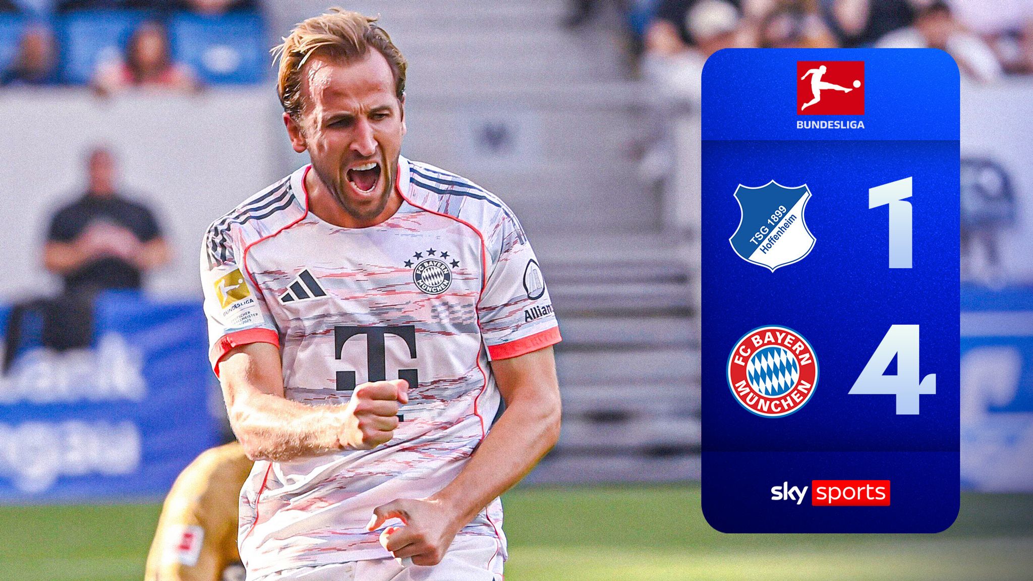 bundesliga hoffenheim molde stream