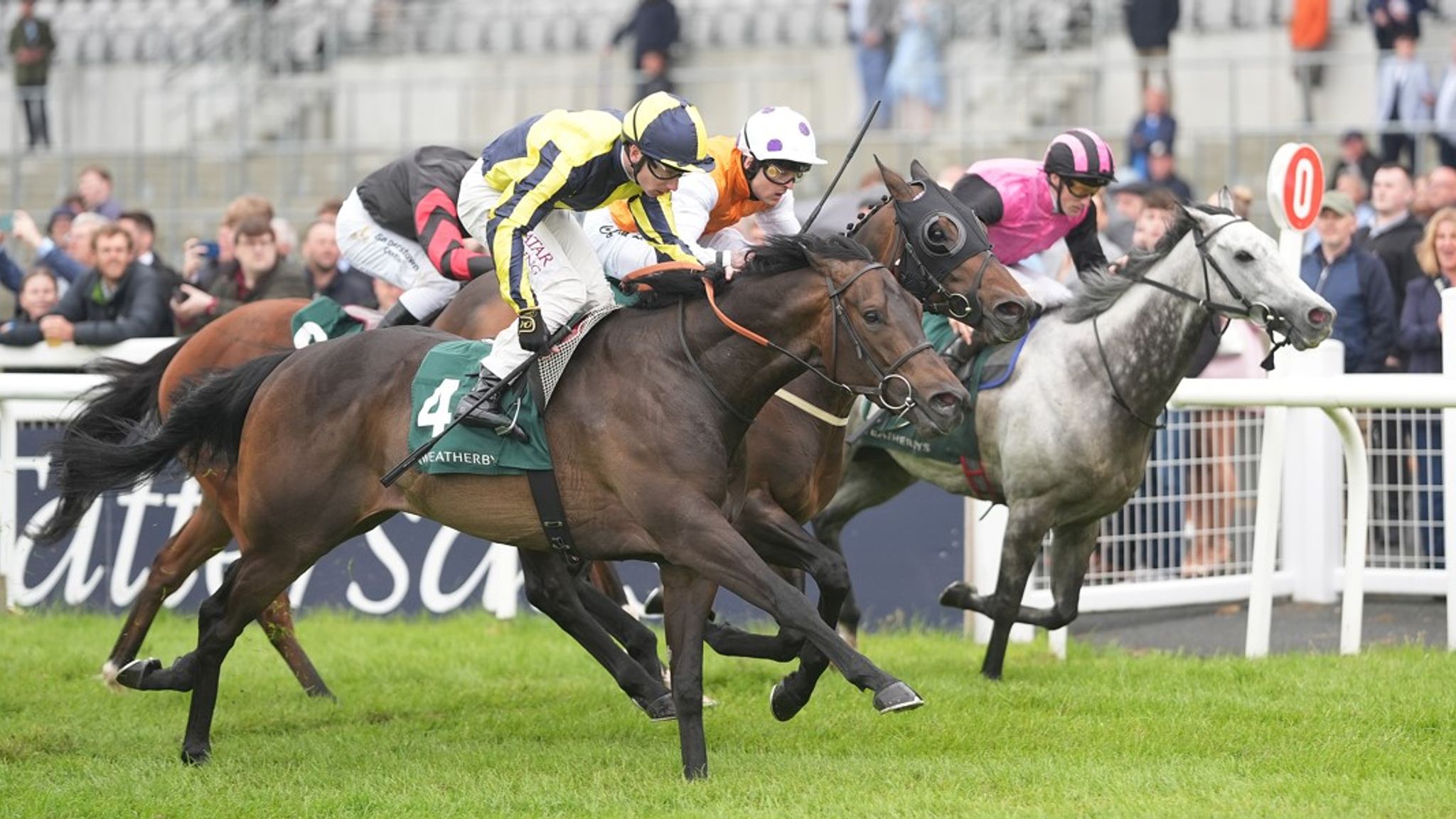 Haydock tips: James's Delight fancied to spring surprise in Sprint ...