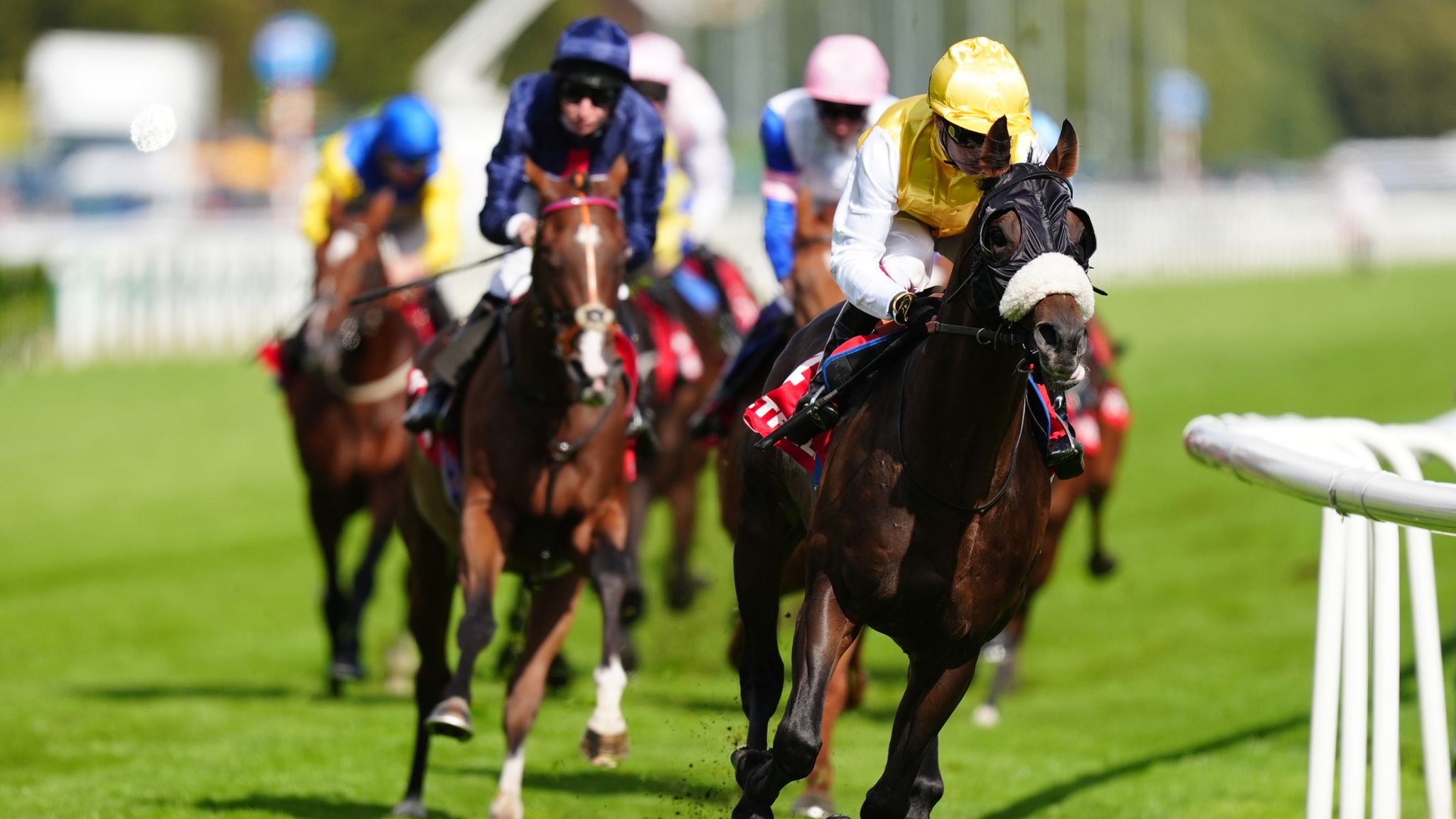 Doncaster Cup: Sweet William defends crown as star stayer sees off ...